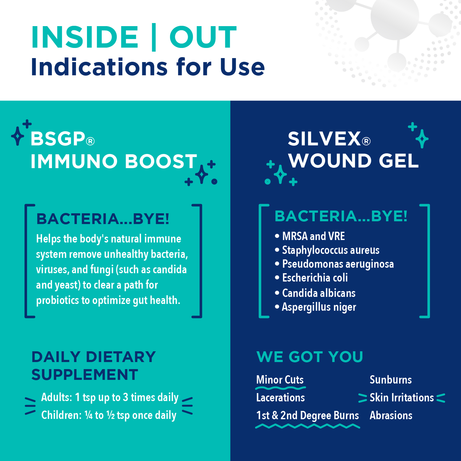 Nano Silver Combo 2-in-1 (Immuno Boost & SILVEX Wound Gel) - First Aid ...